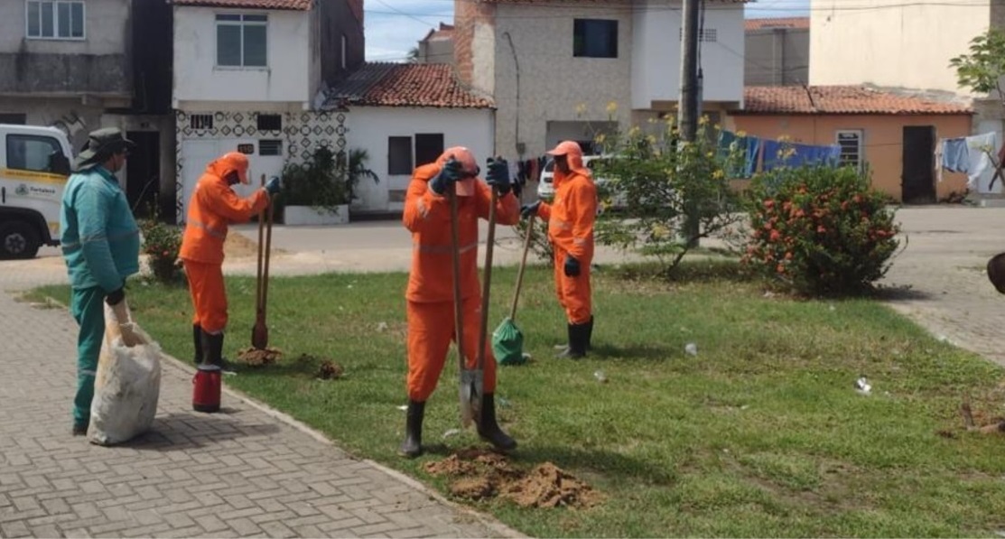 homens plantando mudas